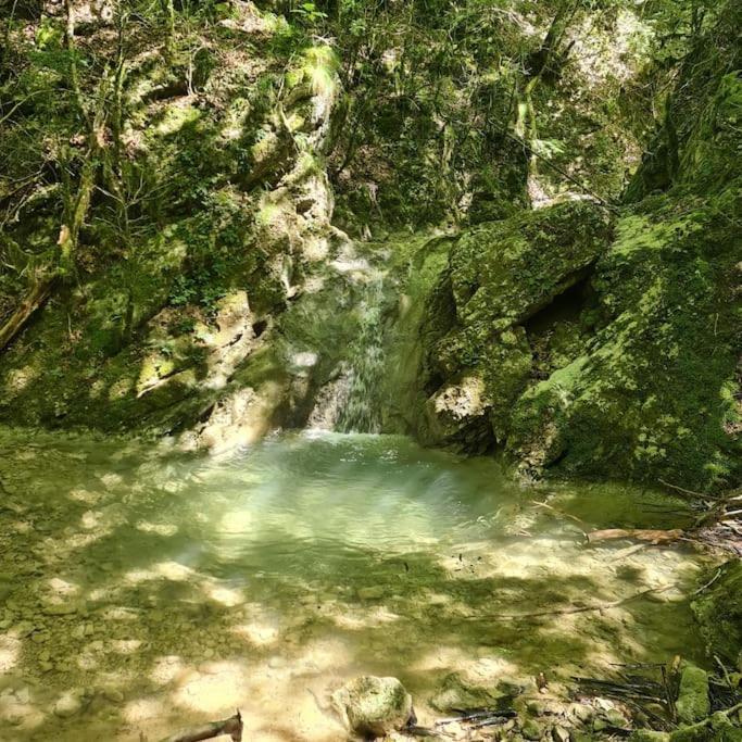 Appartamento Precioso En El Pirineo Catalán *