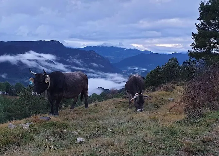 Precioso Apartamento En El Pirineo Catalan
